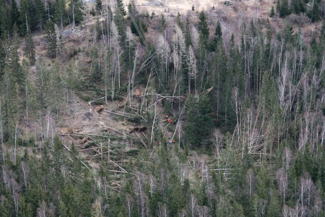 Bildgr&ouml;&szlig;e auf die Monitoraufl&ouml;sung (640x480 px) optimiert