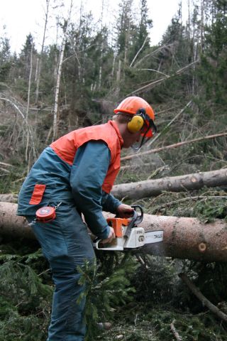 Bildgröße auf die Monitorauflösung (640x480 px) optimiert