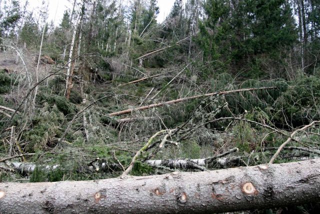 Bildgröße auf die Monitorauflösung (640x480 px) optimiert