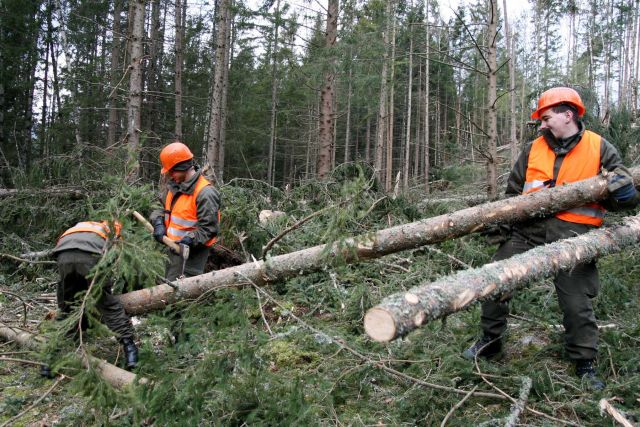 Bildgr&ouml;&szlig;e auf die Monitoraufl&ouml;sung (640x480 px) optimiert