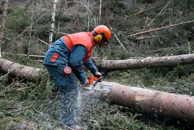 Bildgröße auf die Monitorauflösung (640x480 px) optimiert