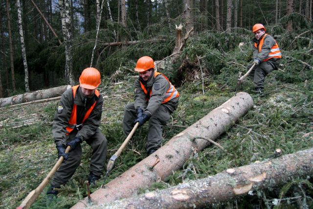 Bildgr&ouml;&szlig;e auf die Monitoraufl&ouml;sung (640x480 px) optimiert