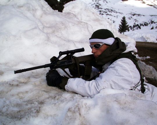 Bildgr&ouml;&szlig;e auf die Monitoraufl&ouml;sung (640x480 px) optimiert