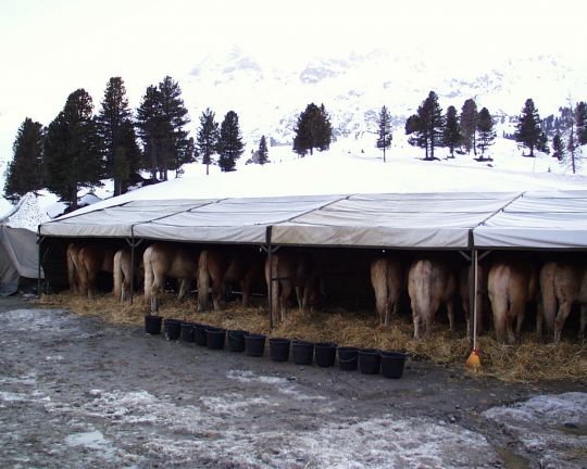 Bildgr&ouml;&szlig;e auf die Monitoraufl&ouml;sung (640x480 px) optimiert