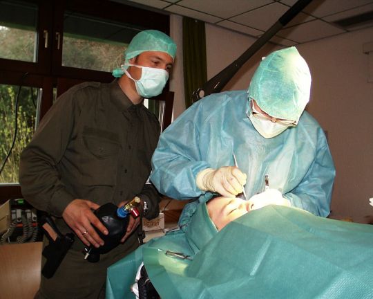 Bildgröße auf die Monitorauflösung (640x480 px) optimiert