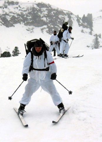 Bildgröße auf die Monitorauflösung (640x480 px) optimiert