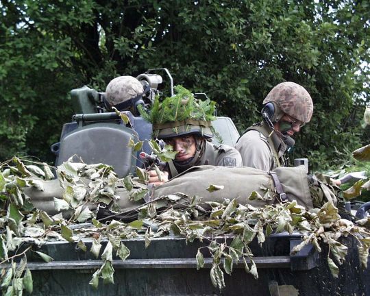 Bildgröße auf die Monitorauflösung (640x480 px) optimiert