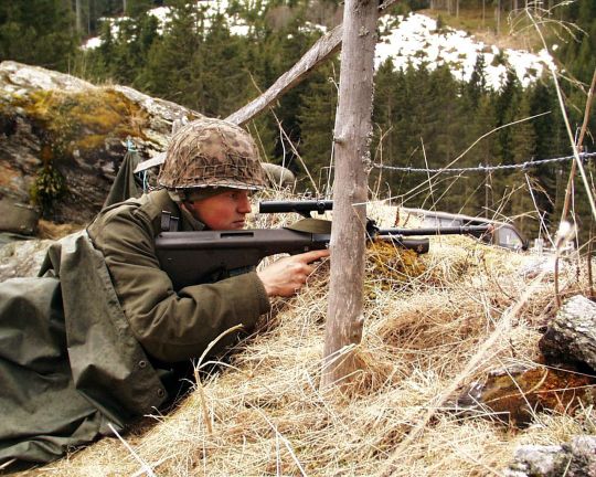 Bildgr&ouml;&szlig;e auf die Monitoraufl&ouml;sung (640x480 px) optimiert