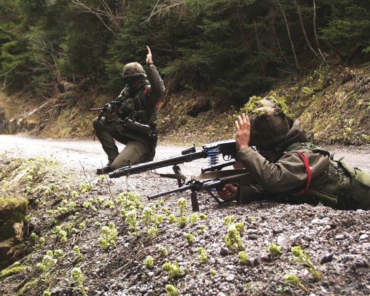 Bildgröße auf die Monitorauflösung (640x480 px) optimiert