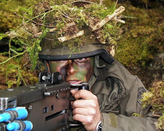Bildgr&ouml;&szlig;e auf die Monitoraufl&ouml;sung (640x480 px) optimiert