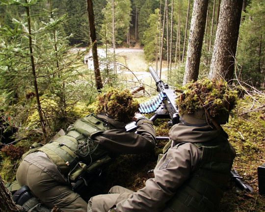 Bildgröße auf die Monitorauflösung (640x480 px) optimiert