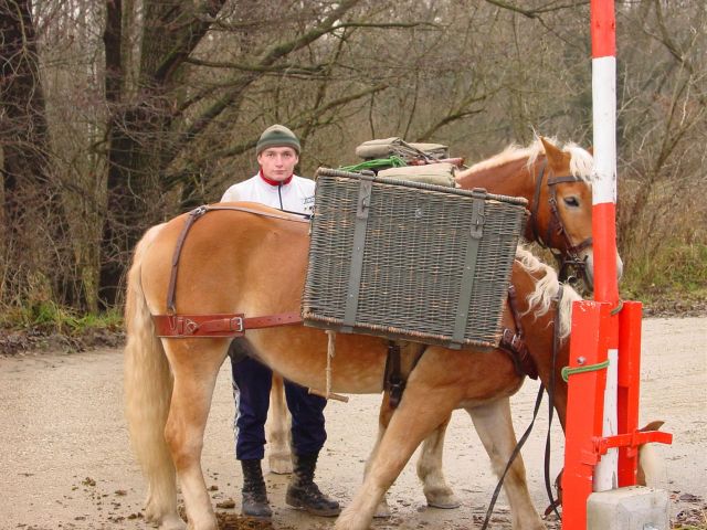 Bildgröße auf die Monitorauflösung (640x480 px) optimiert