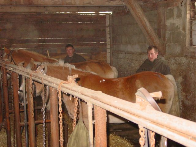 Bildgr&ouml;&szlig;e auf die Monitoraufl&ouml;sung (640x480 px) optimiert