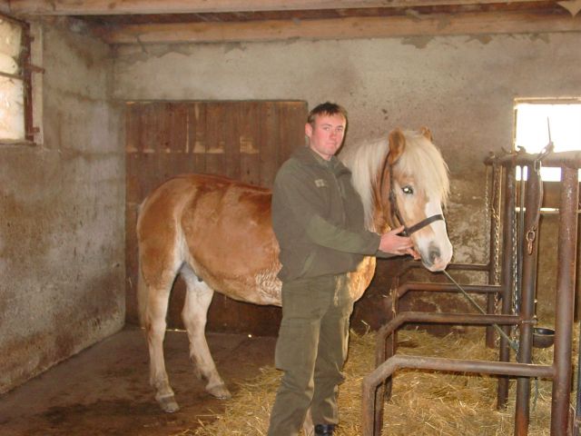 Bildgr&ouml;&szlig;e auf die Monitoraufl&ouml;sung (640x480 px) optimiert