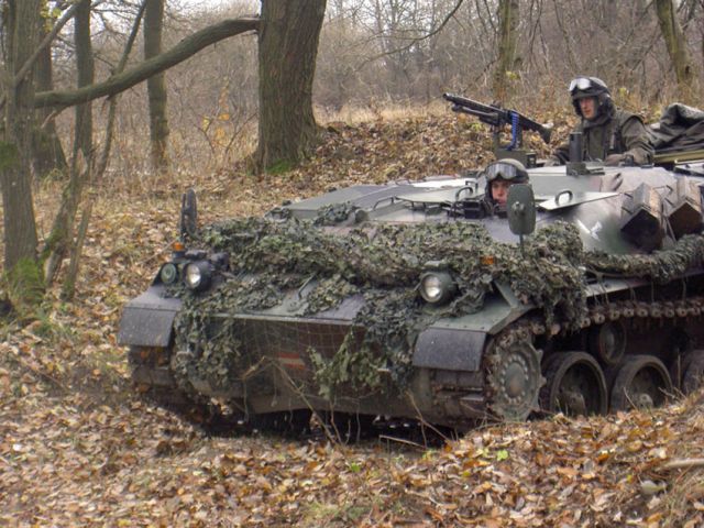 Bildgröße auf die Monitorauflösung (640x480 px) optimiert