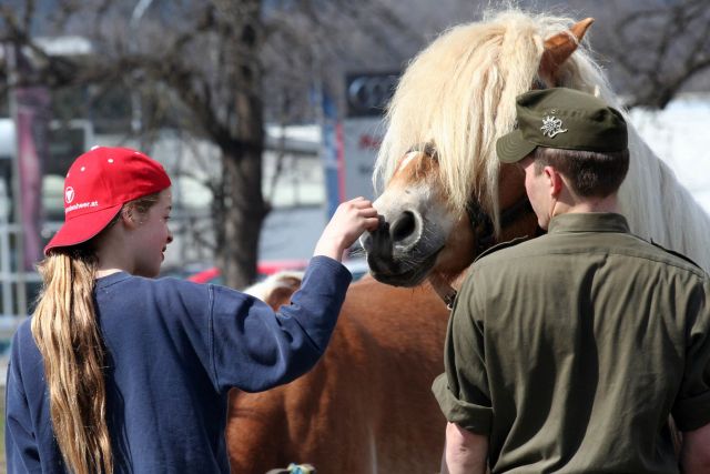 Bildgröße auf die Monitorauflösung (640x480 px) optimiert