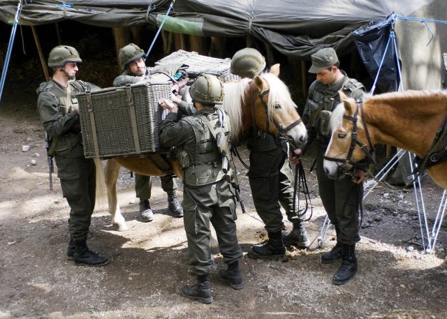 Bildgröße auf die Monitorauflösung (640x480 px) optimiert