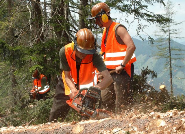 Bildgr&ouml;&szlig;e auf die Monitoraufl&ouml;sung (640x480 px) optimiert