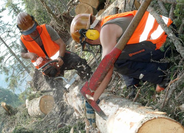 Bildgröße auf die Monitorauflösung (640x480 px) optimiert