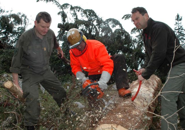 Bildgröße auf die Monitorauflösung (640x480 px) optimiert