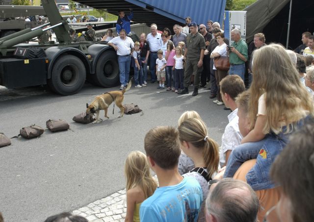 Bildgröße auf die Monitorauflösung (640x480 px) optimiert