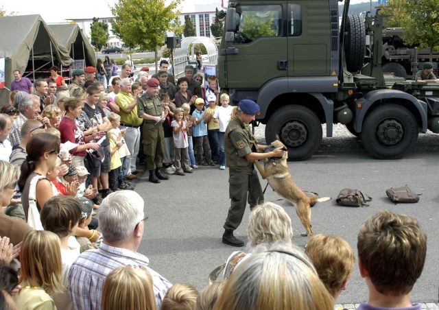 Bildgr&ouml;&szlig;e auf die Monitoraufl&ouml;sung (640x480 px) optimiert