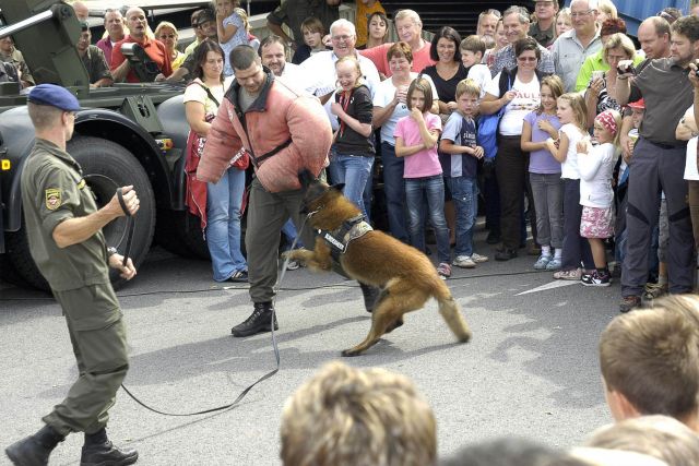 Bildgröße auf die Monitorauflösung (640x480 px) optimiert