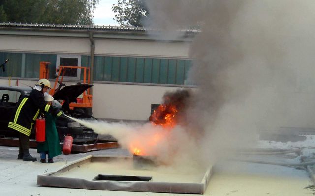 Bildgröße auf die Monitorauflösung (640x480 px) optimiert