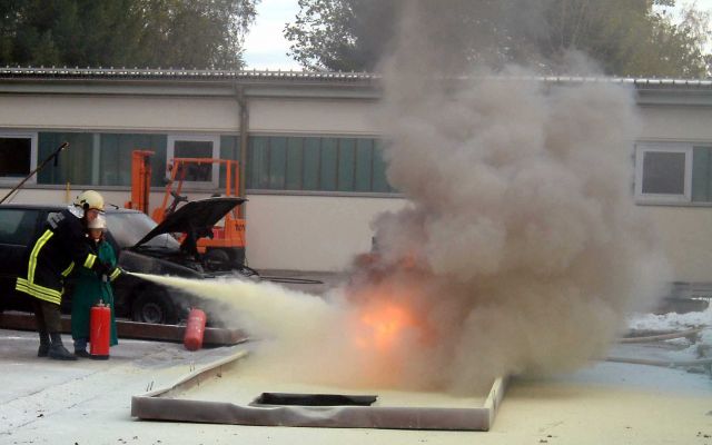 Bildgröße auf die Monitorauflösung (640x480 px) optimiert