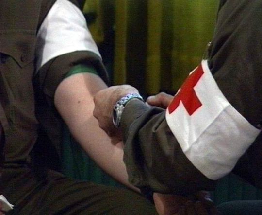 Bildgr&ouml;&szlig;e auf die Monitoraufl&ouml;sung (640x480 px) optimiert