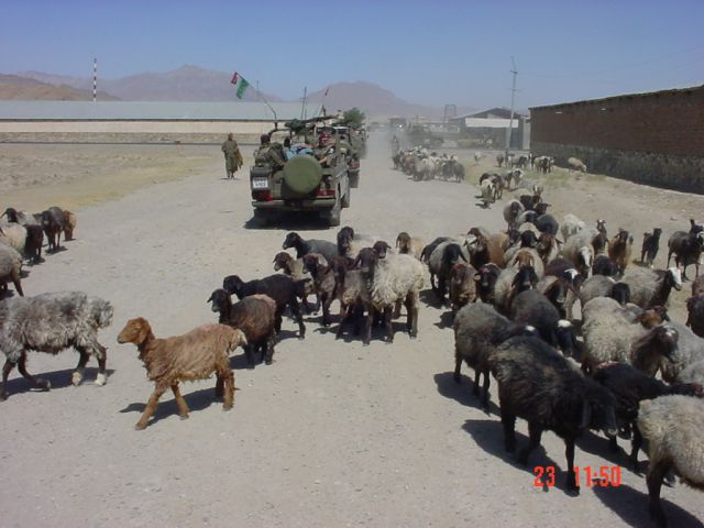 Bildgr&ouml;&szlig;e auf die Monitoraufl&ouml;sung (640x480 px) optimiert