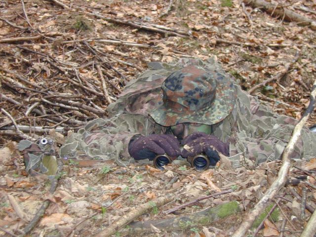 Bildgr&ouml;&szlig;e auf die Monitoraufl&ouml;sung (640x480 px) optimiert