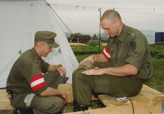 Bildgr&ouml;&szlig;e auf die Monitoraufl&ouml;sung (640x480 px) optimiert