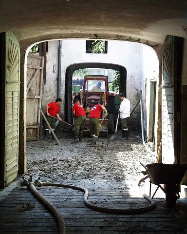 Bildgröße auf die Monitorauflösung (640x480 px) optimiert