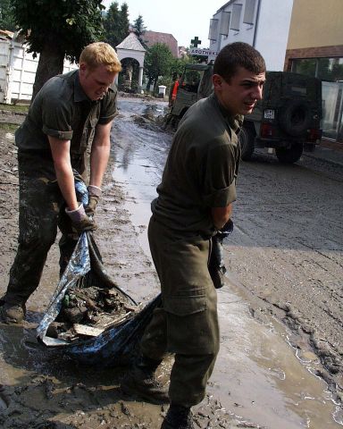 Bildgröße auf die Monitorauflösung (640x480 px) optimiert