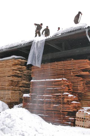 Bildgr&ouml;&szlig;e auf die Monitoraufl&ouml;sung (640x480 px) optimiert