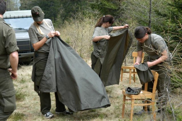 Bildgröße auf die Monitorauflösung (640x480 px) optimiert