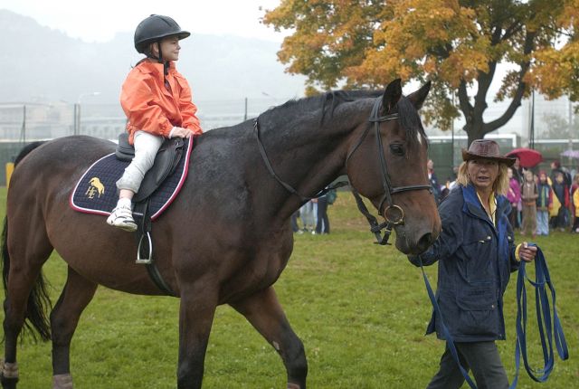 Bildname: schulsporttag07_004_i.jpg, momentane Bildgröße: 640x430 px Bildgröße auf die Monitorauflösung (640x480 px) optimiert