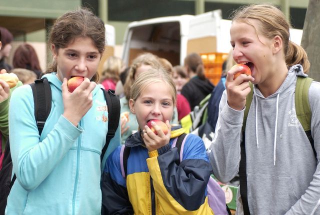 Bildgr&ouml;&szlig;e auf die Monitoraufl&ouml;sung (640x480 px) optimiert