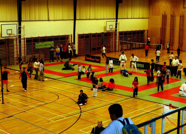 Bildgröße auf die Monitorauflösung (640x480 px) optimiert