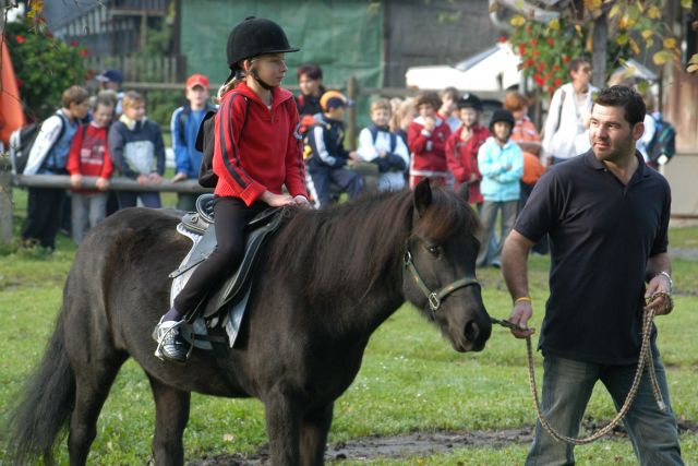 Bildname: schulsporttag_voitsberg_005.jpg, momentane Bildgröße: 640x427 px Bildgröße auf die Monitorauflösung (640x480 px) optimiert