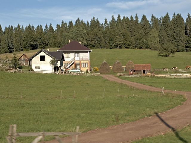 Bildgröße auf die Monitorauflösung (640x480 px) optimiert