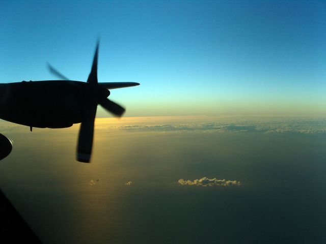 Bildgröße auf die Monitorauflösung (640x480 px) optimiert