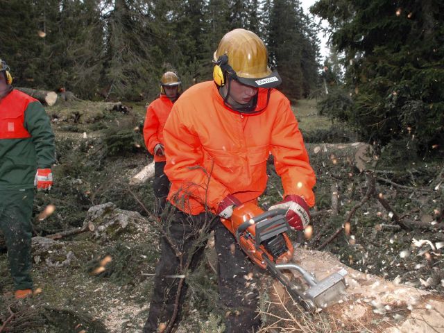 Bildgröße auf die Monitorauflösung (640x480 px) optimiert