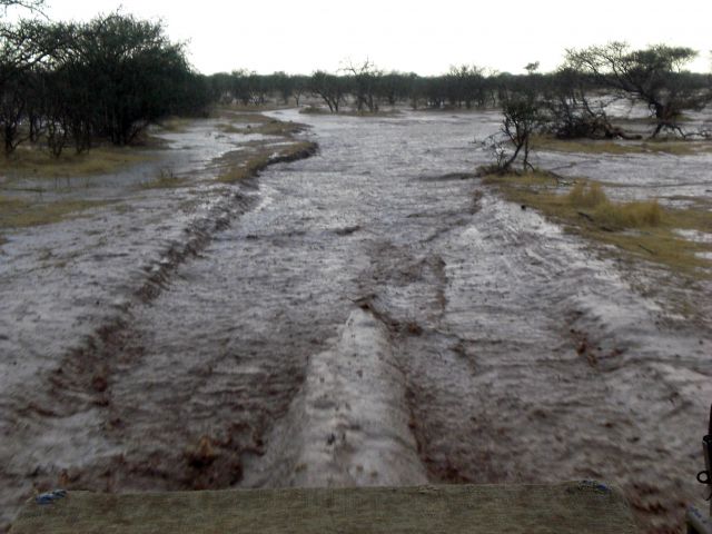 Bildgröße auf die Monitorauflösung (640x480 px) optimiert