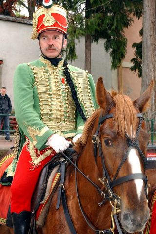 Bildgröße auf die Monitorauflösung (640x480 px) optimiert