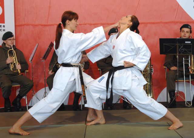 Bildgröße auf die Monitorauflösung (640x480 px) optimiert