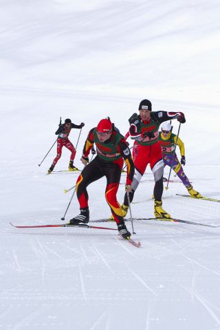 Bildgr&ouml;&szlig;e auf die Monitoraufl&ouml;sung (640x480 px) optimiert