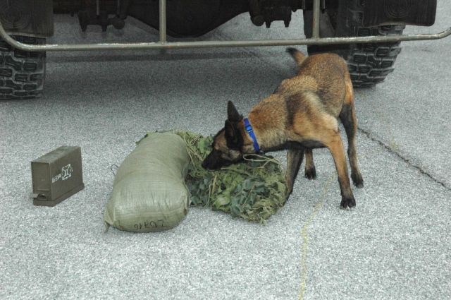 Bildgr&ouml;&szlig;e auf die Monitoraufl&ouml;sung (640x480 px) optimiert