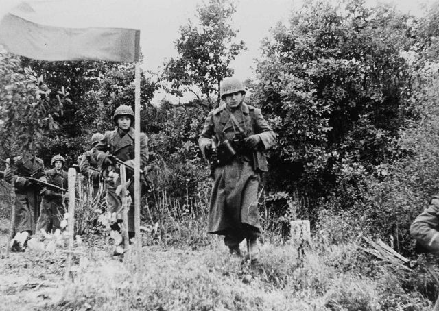 Bildgr&ouml;&szlig;e auf die Monitoraufl&ouml;sung (640x480 px) optimiert